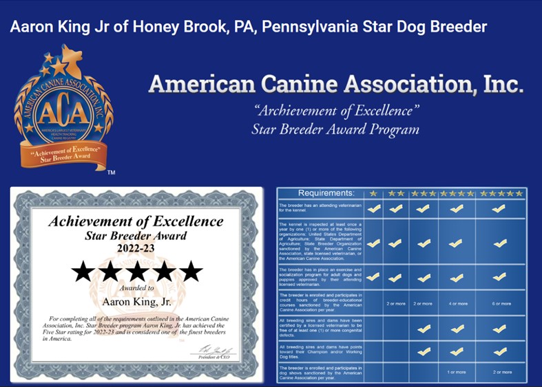 starbreeder, aaron, king, jr, dog, breeder, news, report, article, investigation, arron-king-jr, dog-breeder, honey-brook, pa, pennsylvania, ofa, puppy, dog, kennels, mill, puppymill, usda, 5-star, ACA, ICA, registered, show handler, usda, license