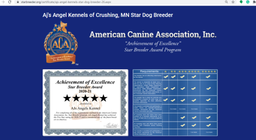 Ajs, Angel, Kennels, 5star. certificate, dog, breeder, Ajs-Angel-Kennels, Crushing, MN, Minnesota, puppy, dog, kennels, mill, puppymill, usda, 5-star, ACA, ICA, registered, show handler, yorkshire, terriers
