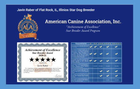 javin, raber, dog, breeder, starbreeder, flat, rock, il, illinios, javin-raber, dog-breeder, kennel, usda, puppy, mill, puppymill, inspected, inspection, report, reports, investigation, story, news-story, dogs, aca, ica, aphis, 33-a-0586