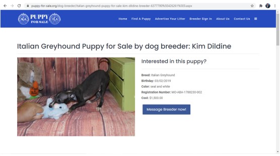 Kim Dildine Dog Breeder Available Puppies